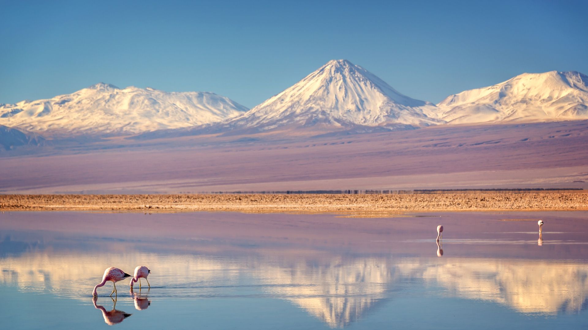 🌵 Uma Aventura Mágica no Deserto do Atacama